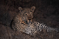 South Africa