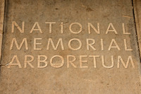 The National Memorial Arboretum